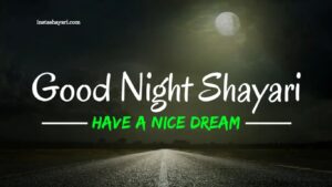 Best Good Night Shayari in Hindi